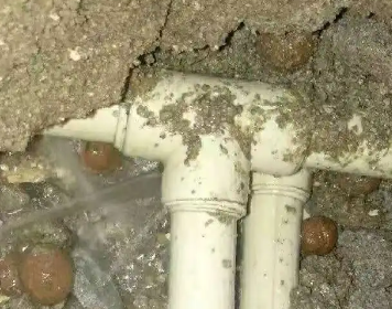 汤旺河测漏水多少钱