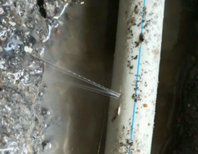 汤旺河测漏水哪家好