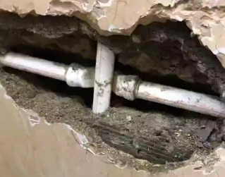 汤旺河测漏水哪家好