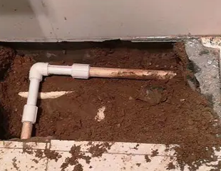 汤旺河测漏水哪家好