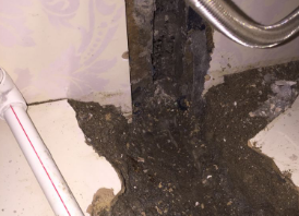 汤旺河卫生间测漏水哪家好