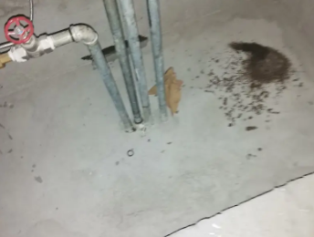 汤旺河卫生间测漏水价格明细