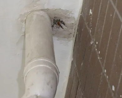 汤旺河漏水检测哪家好